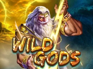 Wild Gods