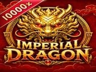 Imperial Dragon