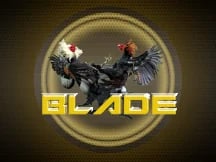 AOG Blade Cockfight