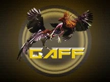 AOG Gaff Cockfight
