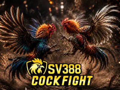 CockFight