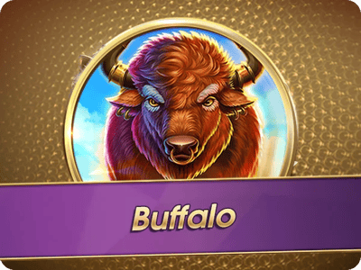 IDG_Buffalo