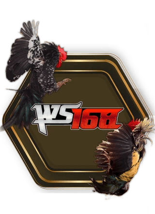 WS168 Sabung Ayam