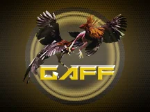 AOG Gaff Cockfight