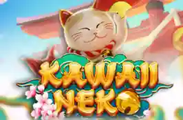 Kawaiineko