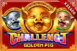 CHALLENGEGOLDENPIG