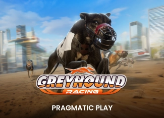 Greyhound Racing